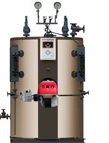 如何選購優質蒸汽鍋爐 關鍵要素與推薦產地